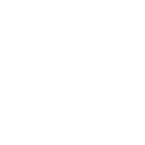 banamex (1)