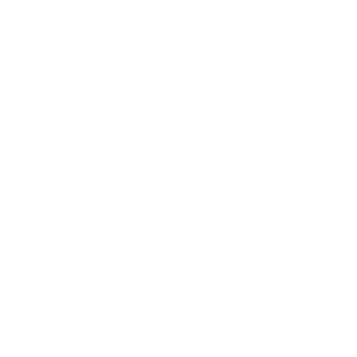 epson (1)
