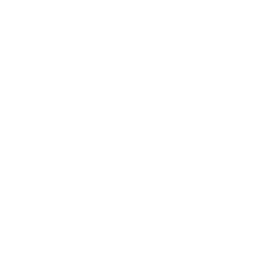 siemens (1)